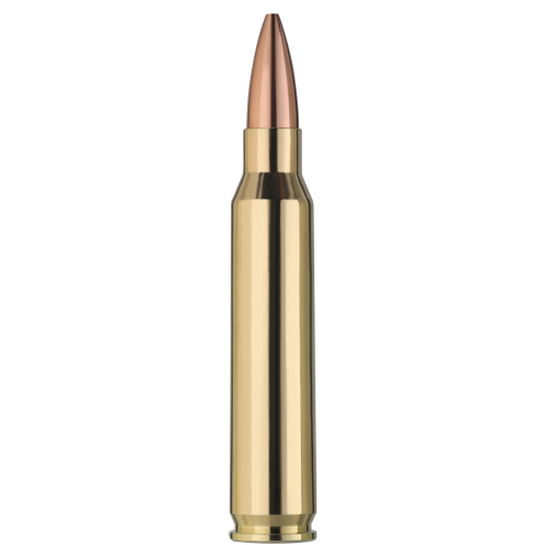 Σφαίρες RWS TARGET ELITE PLUS .223 Rem. 77gr