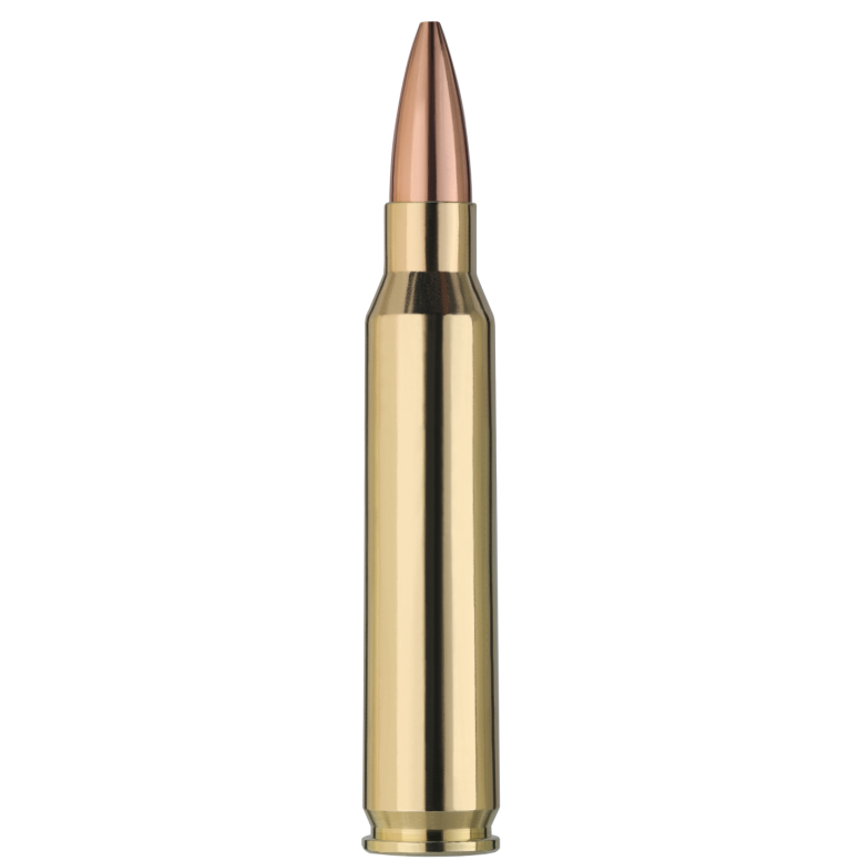 Σφαίρες RWS TARGET ELITE PLUS .223 Rem. 77gr